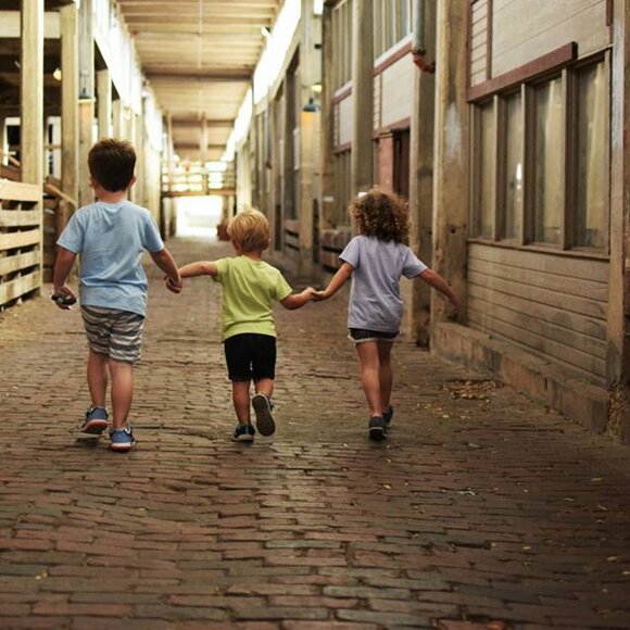 Meet your Posher, Tawny K - Picture 8 of 10